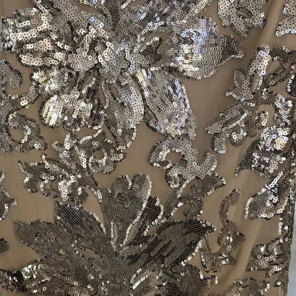 Clavin Klein size 4 Beige with silver sequin evening gown - Picture 5 of 7